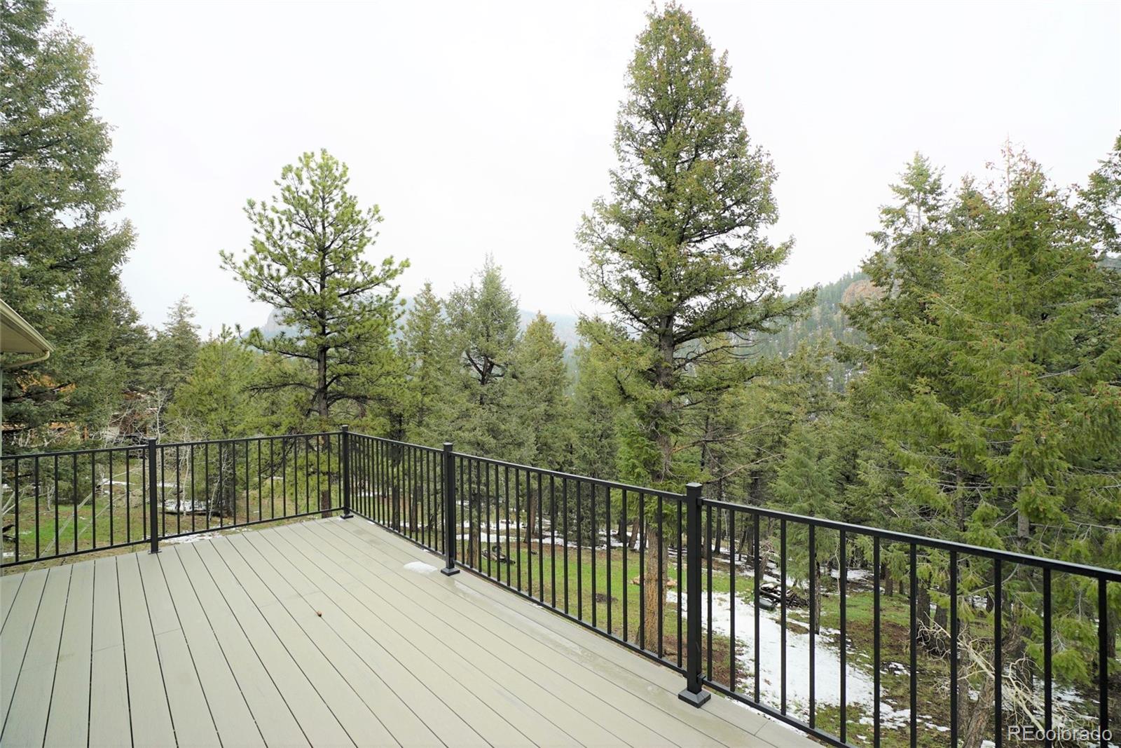 2287 Roland Drive Bailey, CO 80421 - Photo 21 of 26 Gallery Image 21