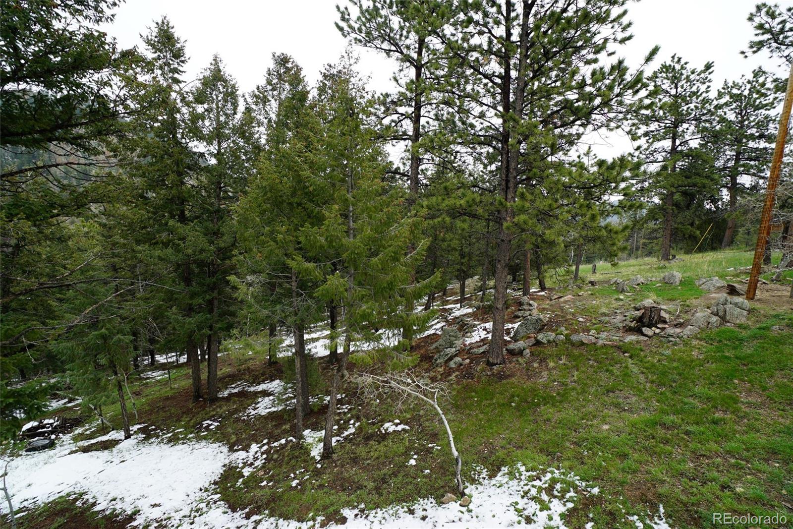 2287 Roland Drive Bailey, CO 80421 - Photo 26 of 26 Gallery Image 26