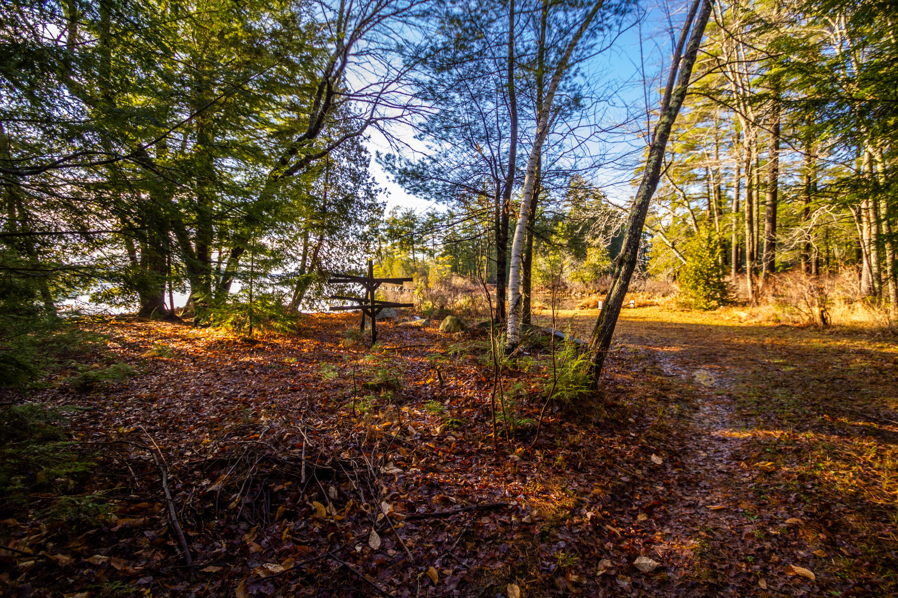 266 Timber Point Road Belgrade, ME 04917 - Photo 10 of 22 IMG_7538