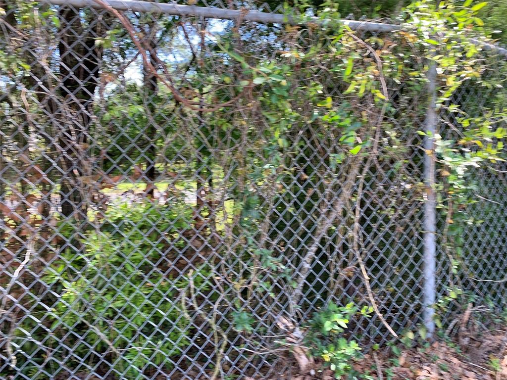 Normandy Boulevard Jacksonville, FL 32221 - Photo 4 of 9