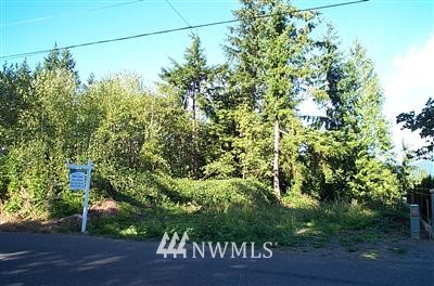 203 St Renton Wa 98059 Renton, WA 98059 - Photo 1 of 1