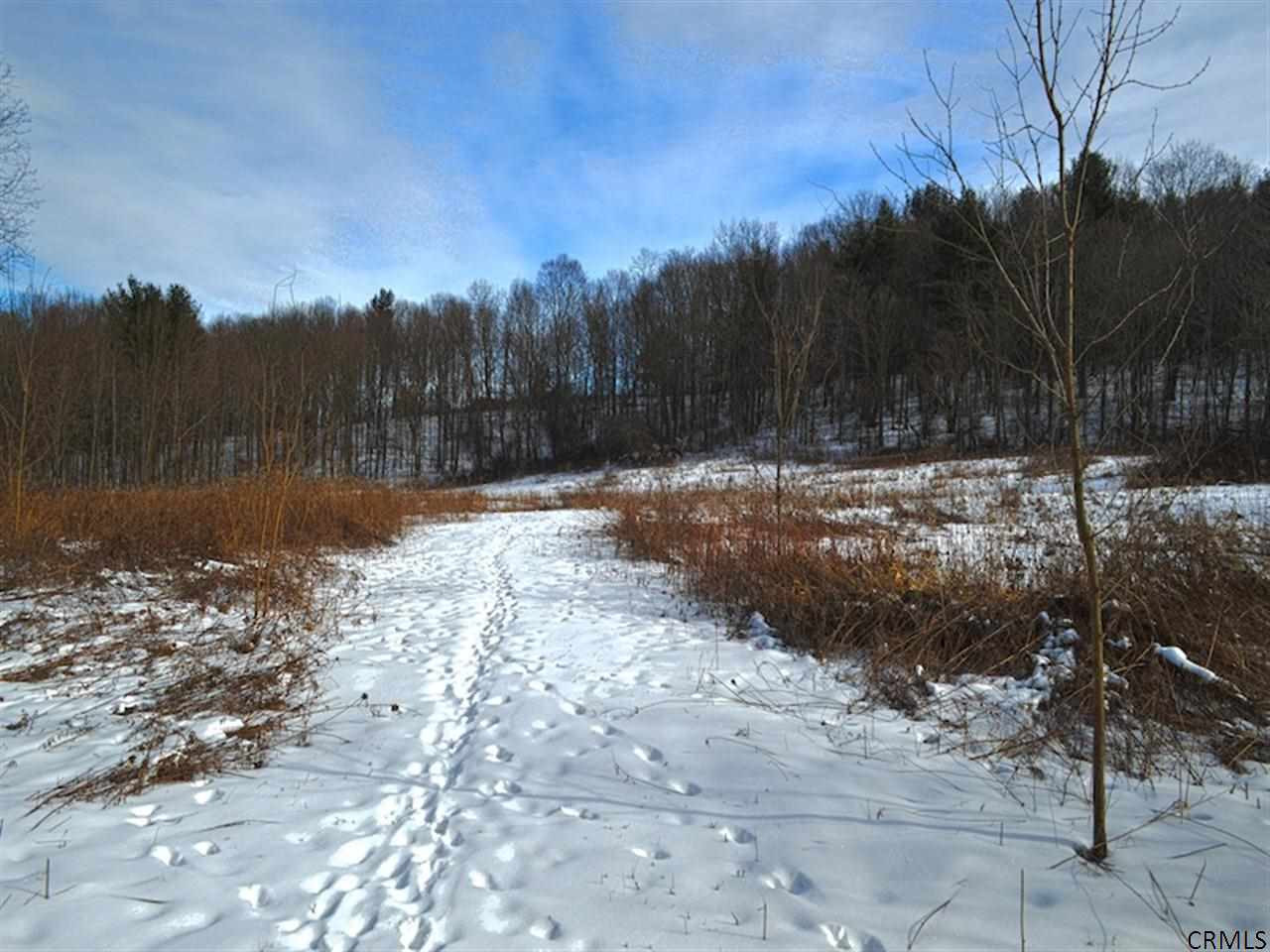 0 Pitt Road New Lebanon, NY 12125 - Photo 1 of 6 Photo 1