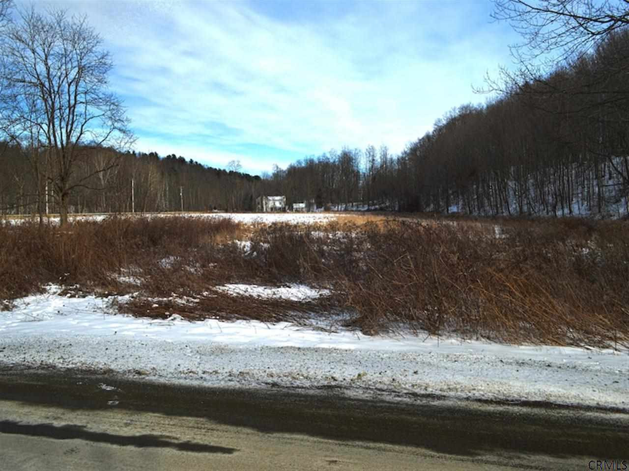 0 Pitt Road New Lebanon, NY 12125 - Photo 3 of 6 Photo 3