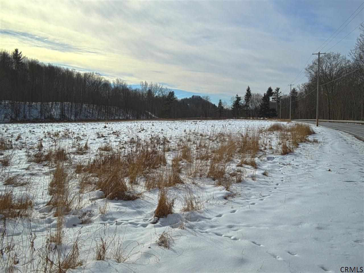 0 Pitt Road New Lebanon, NY 12125 - Photo 4 of 6 Photo 4