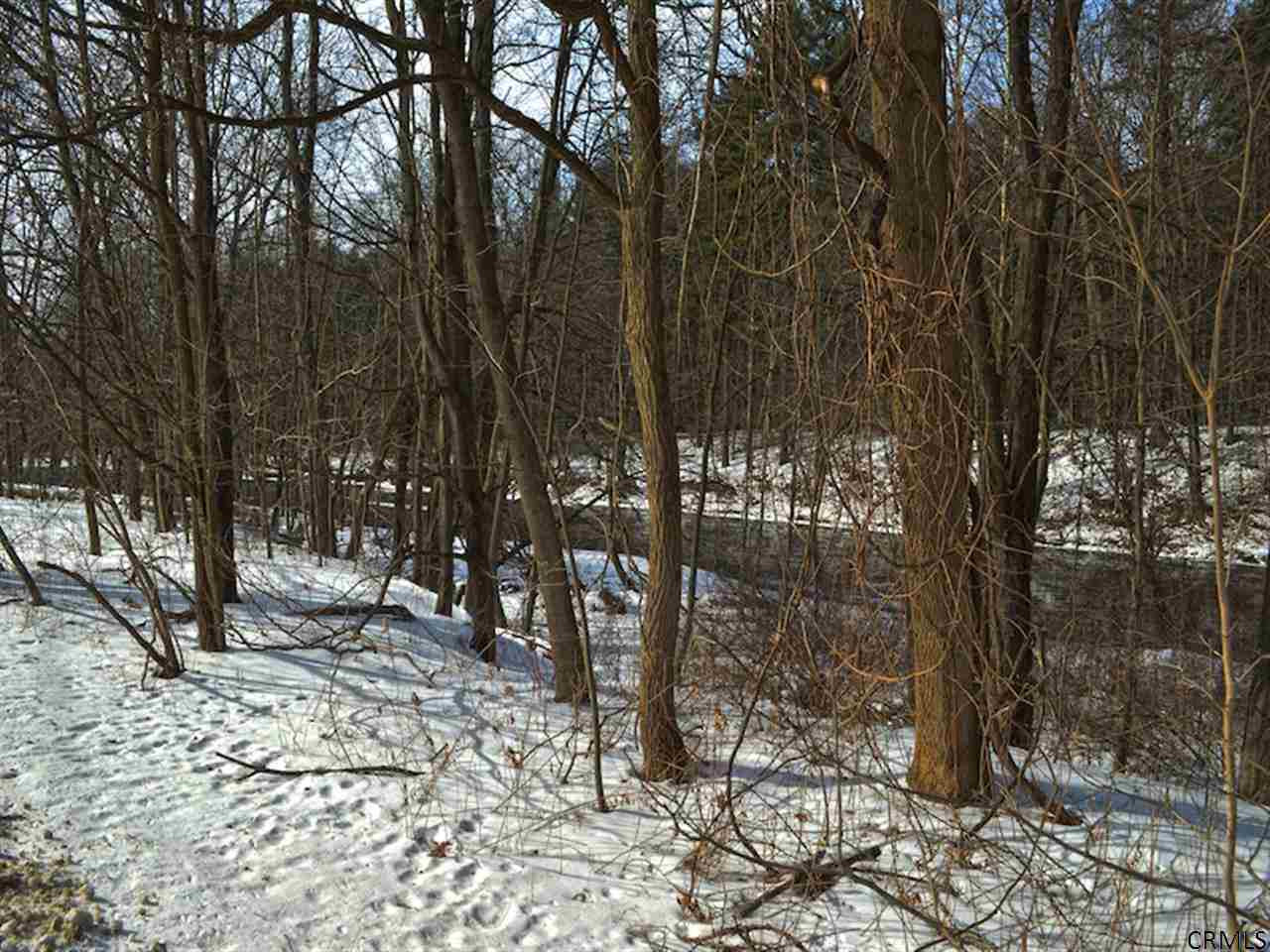 0 Pitt Road New Lebanon, NY 12125 - Photo 5 of 6 Photo 5