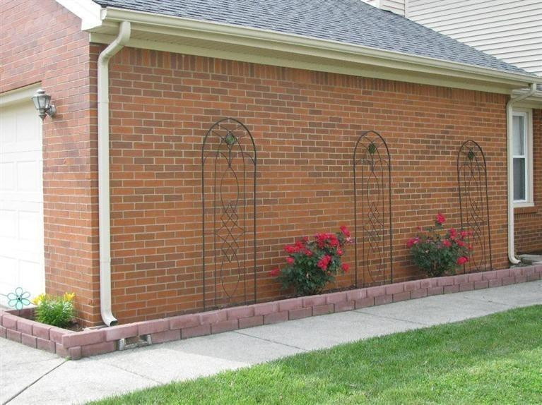 328 Stonegate Way Lexington, KY 40503 - Photo 3 of 44 Knock out roses