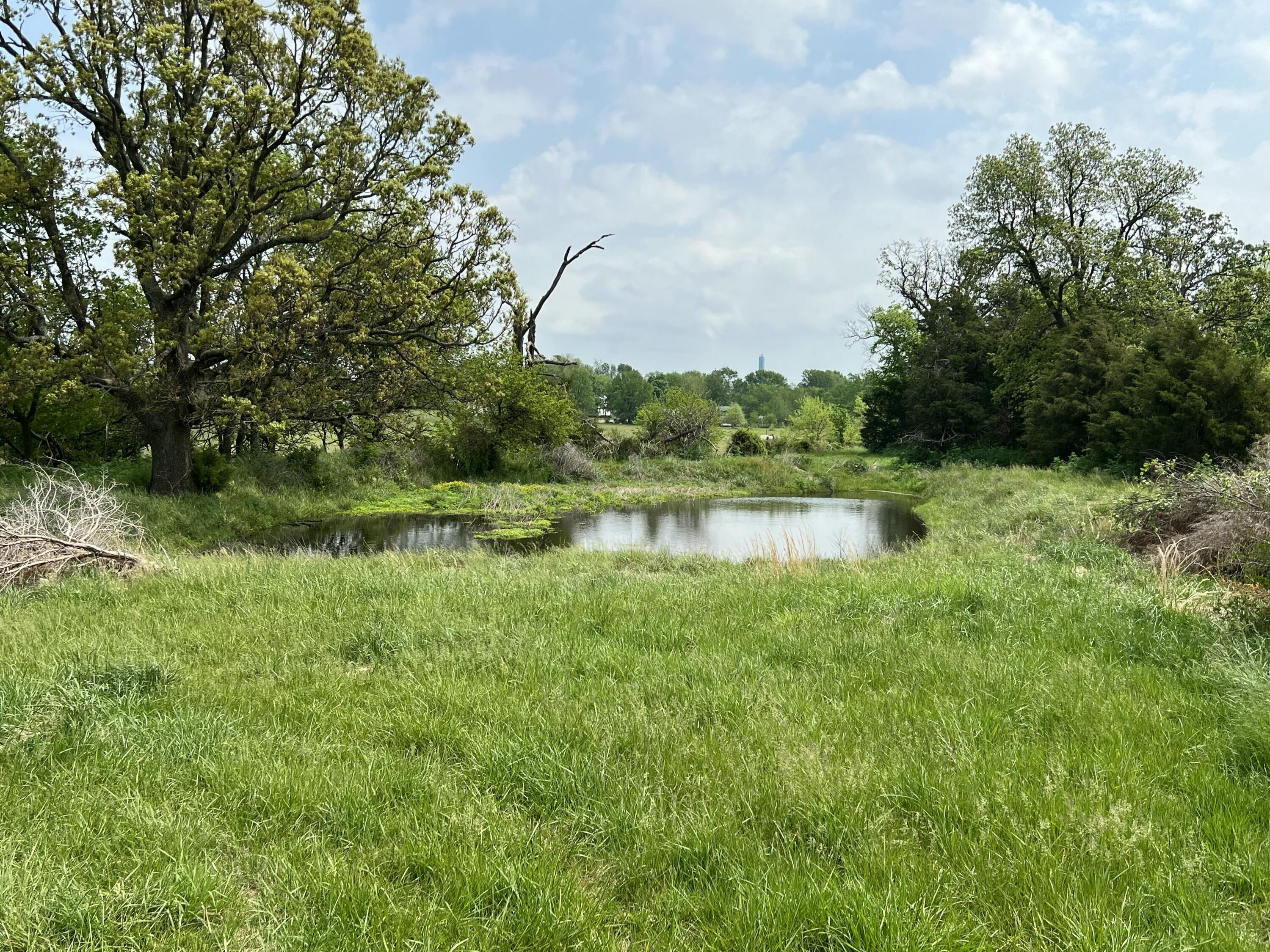 18127 State Rd H Monett, MO 65708 - Photo 64 of 65 IMG_20260909_194847