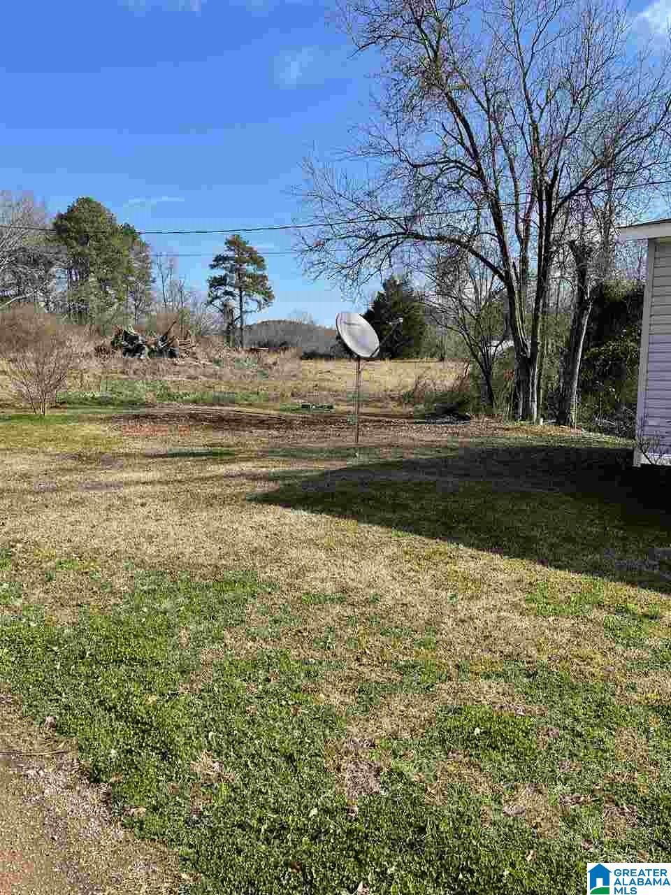 224 Jackson Street Oakman, AL 35579 - Photo 4 of 15