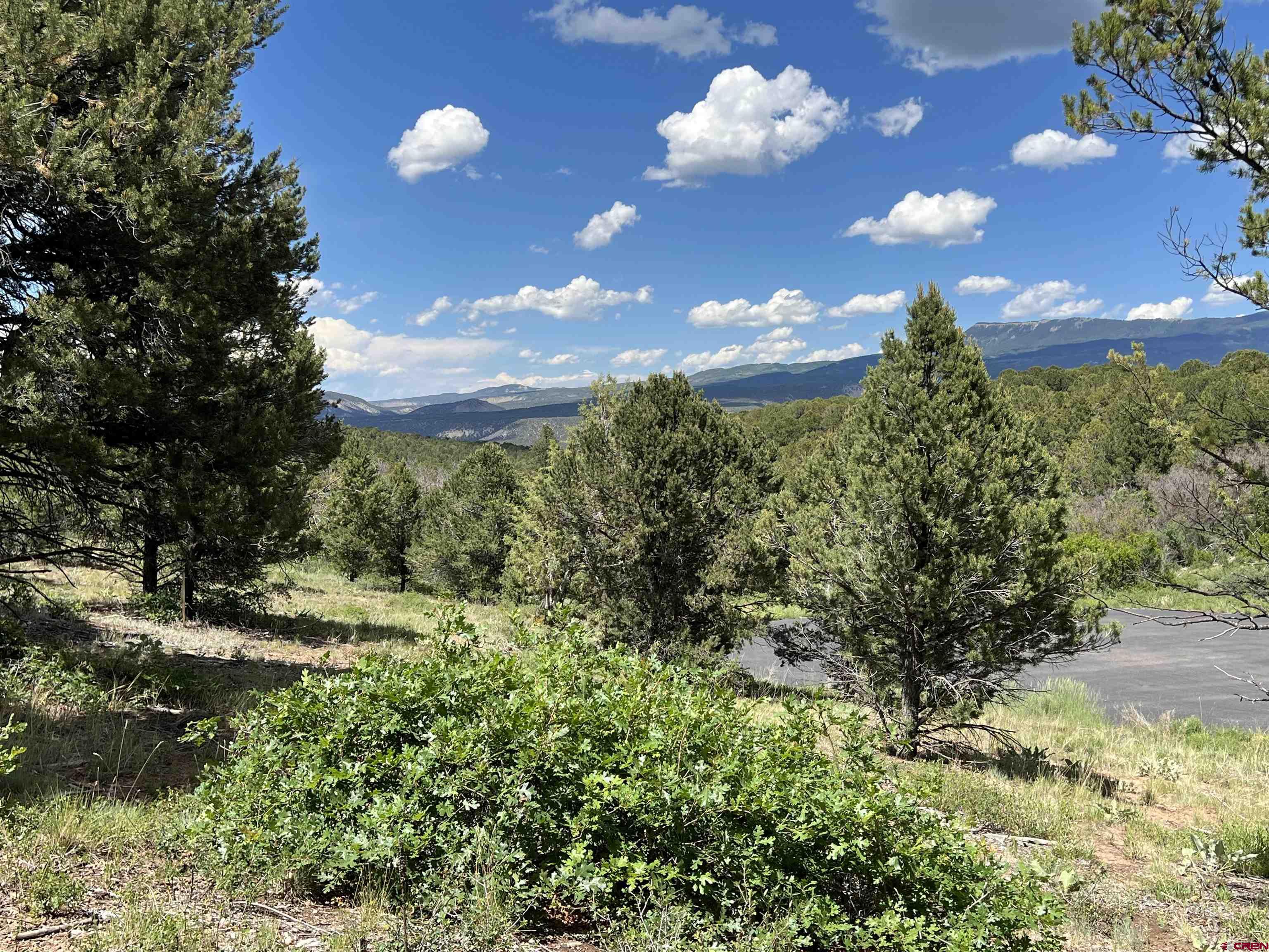 Lot 9 Pointe Escape Drive Ridgway, CO 81432 - Photo 23 of 33