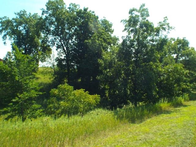 3175 West Mitchell Road Hanover, IL 61041 - Photo 11 of 23 a lush green forest with lots of trees