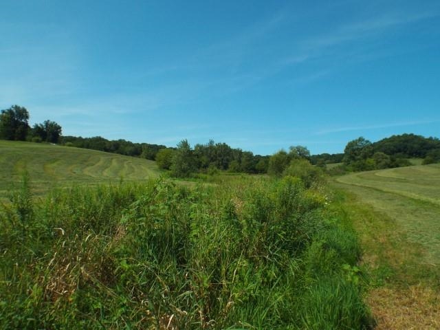 3175 West Mitchell Road Hanover, IL 61041 - Photo 13 of 23 a view of a lush green space with sea