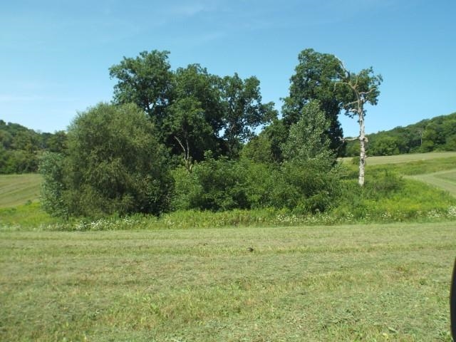3175 West Mitchell Road Hanover, IL 61041 - Photo 16 of 23 a view of a field with trees