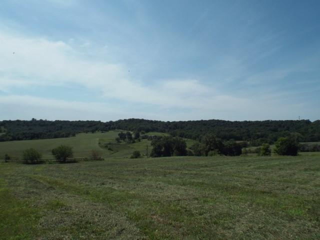 3175 West Mitchell Road Hanover, IL 61041 - Photo 18 of 23 a view of a field of grass and mountain view