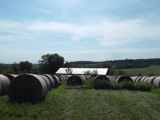 3175 West Mitchell Road Hanover, IL 61041 - Photo 20 of 23 an aerial view of a garden and houses
