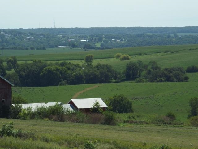 3175 West Mitchell Road Hanover, IL 61041 - Photo 2 of 23 a view of a grassy field