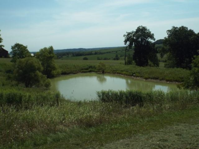 3175 West Mitchell Road Hanover, IL 61041 - Photo 3 of 23 a view of a lake view with houses in back