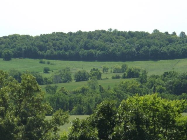 3175 West Mitchell Road Hanover, IL 61041 - Photo 4 of 23 a view of a lush green forest with a house