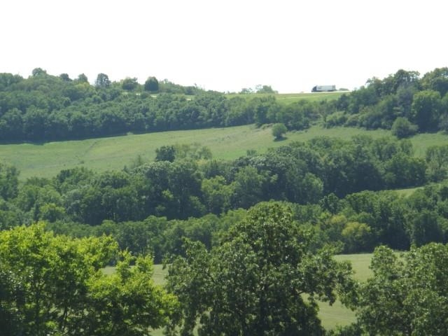 3175 West Mitchell Road Hanover, IL 61041 - Photo 5 of 23 an aerial view of mountain with trees in the background