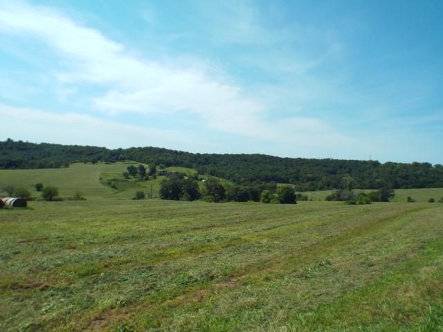 3175 West Mitchell Road Hanover, IL 61041 - Photo 6 of 23 a view of an outdoor space and a yard