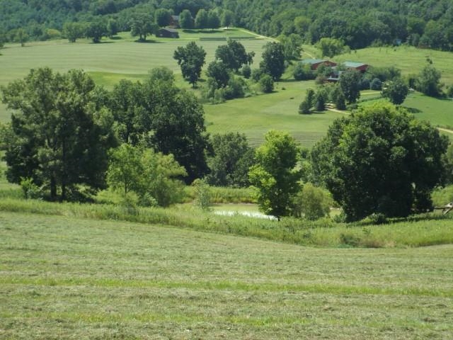 3175 West Mitchell Road Hanover, IL 61041 - Photo 9 of 23 a view of a lush green space