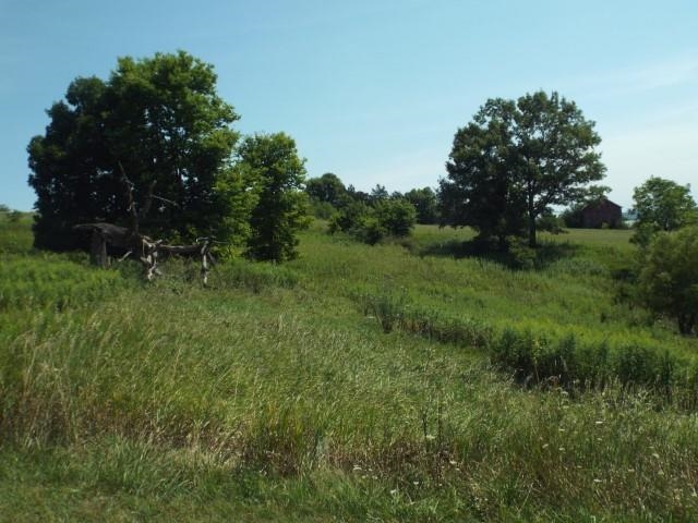 3175 West Mitchell Road Hanover, IL 61041 - Photo 10 of 23 a view of a lush green space