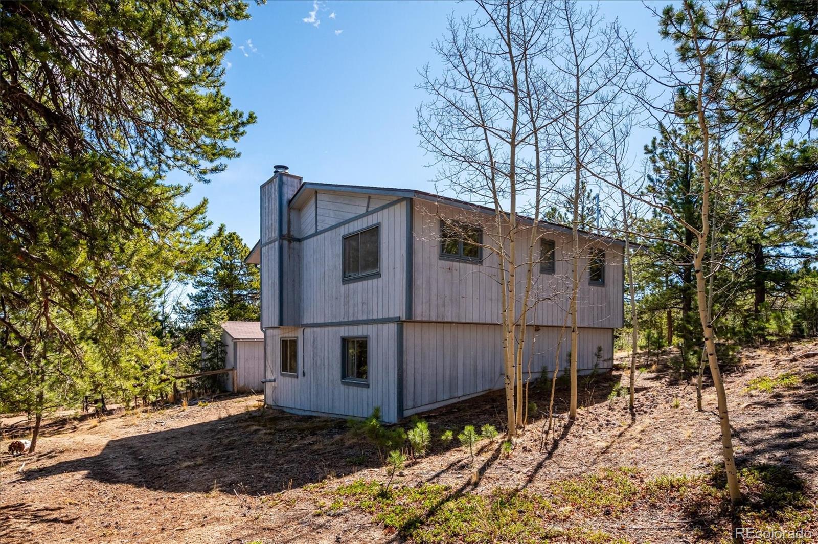 55 West Crosscut Road Bailey, CO 80421 - Photo 33 of 48