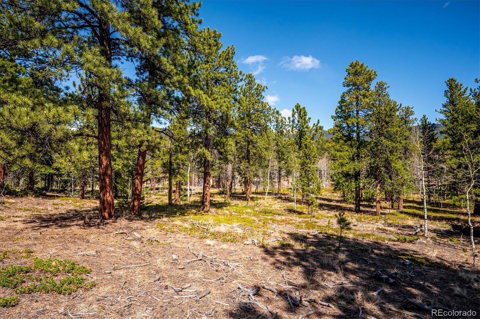 55 West Crosscut Road Bailey, CO 80421 - Photo 34 of 48
