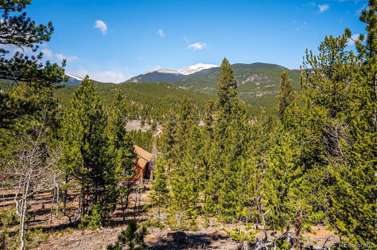 55 West Crosscut Road Bailey, CO 80421 - Photo 35 of 48