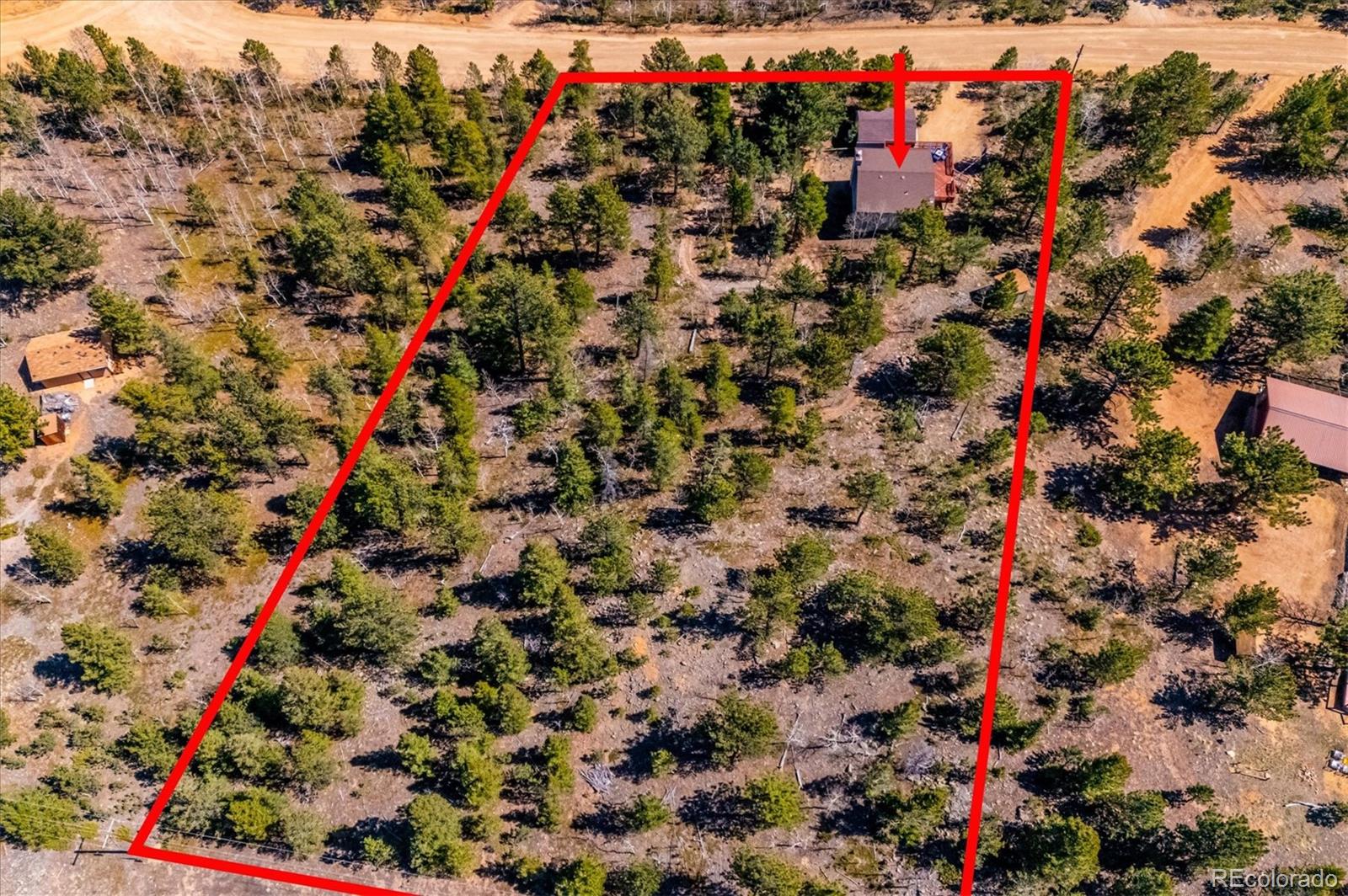 55 West Crosscut Road Bailey, CO 80421 - Photo 45 of 48