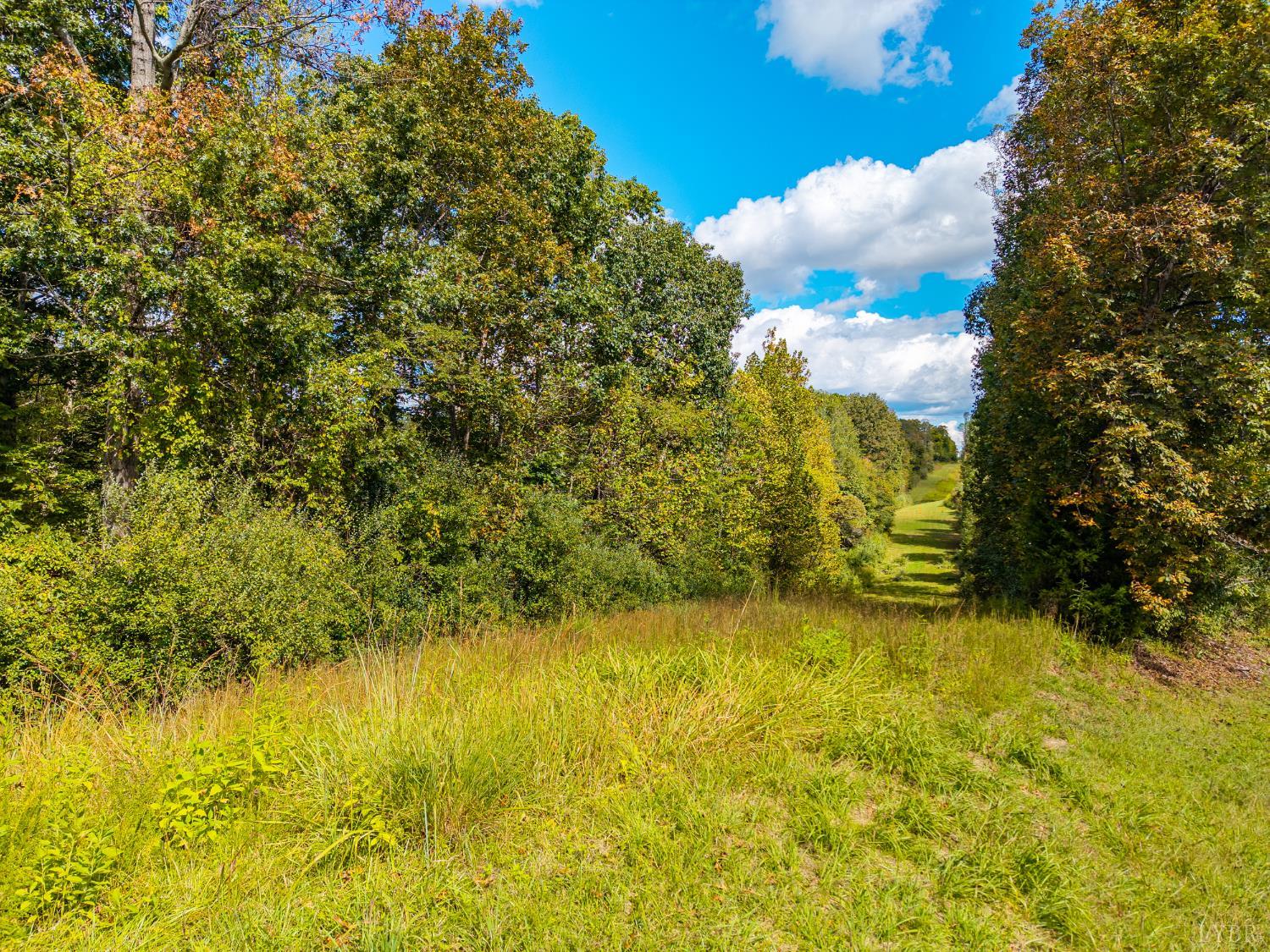 4801 Locksview Road Lynchburg, VA 24503 - Photo 15 of 15 Gallery Image 15