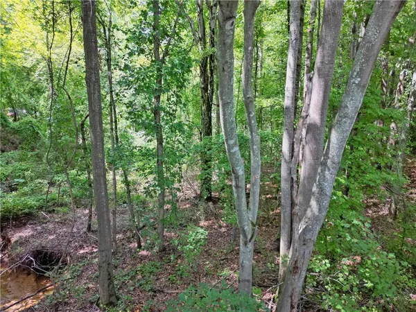 a view of outdoor space and green space
