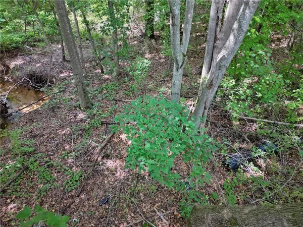a view of a large yard with lots of green space