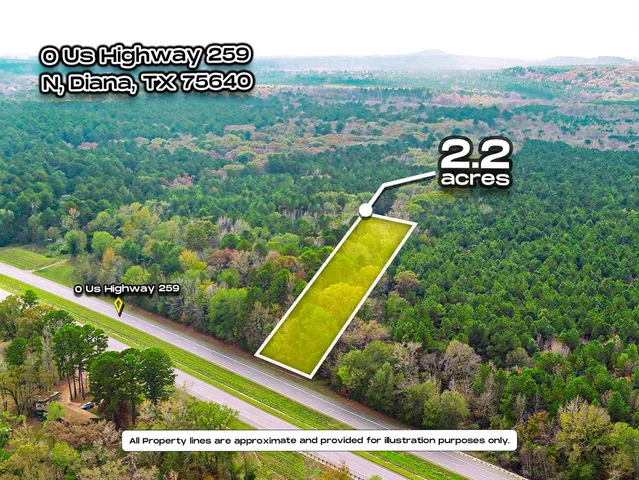 $24,900 | 0 Us-259 Street North, Diana, TX 75640