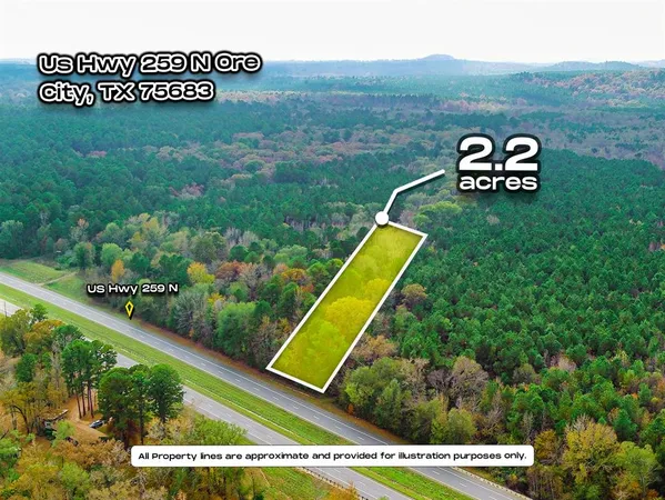 $19,900 | 0 Us-259 Street North, Diana, TX 75640