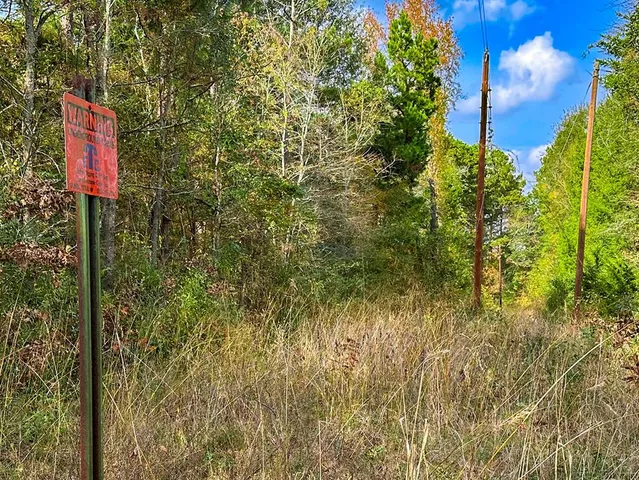 $22,900 | 0 Us-259 Street North, Diana, TX 75640