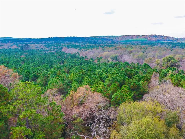 a view of swimming pool with a yard