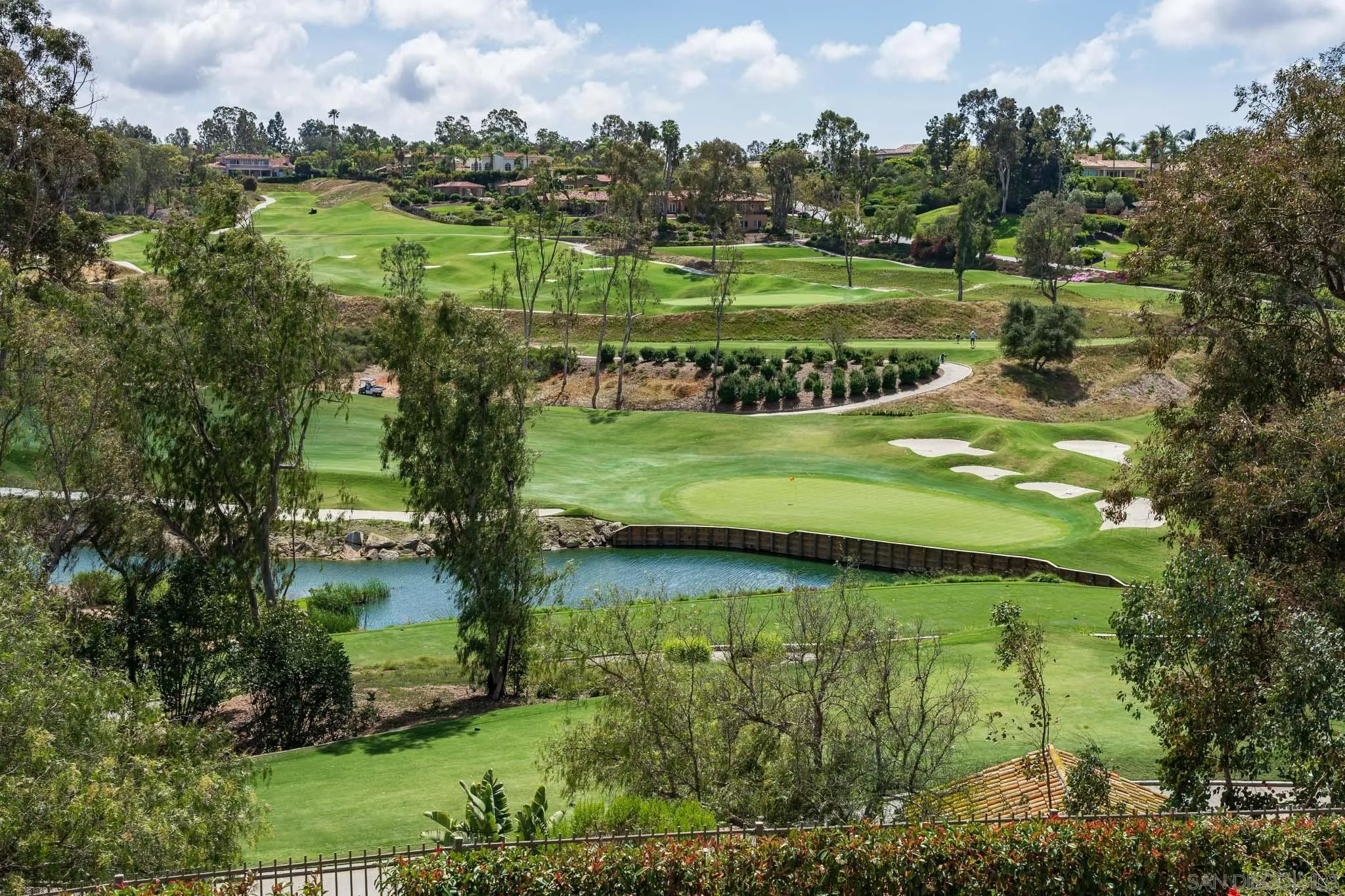 7756 St Andrews Road Rancho Santa Fe, CA 92067 - Photo 17 of 46 an aerial view of a houses with outdoor space and trees all around