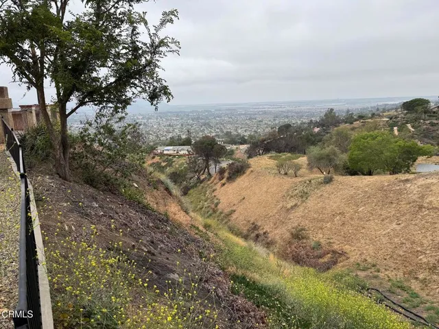 a view of beach covered with green space