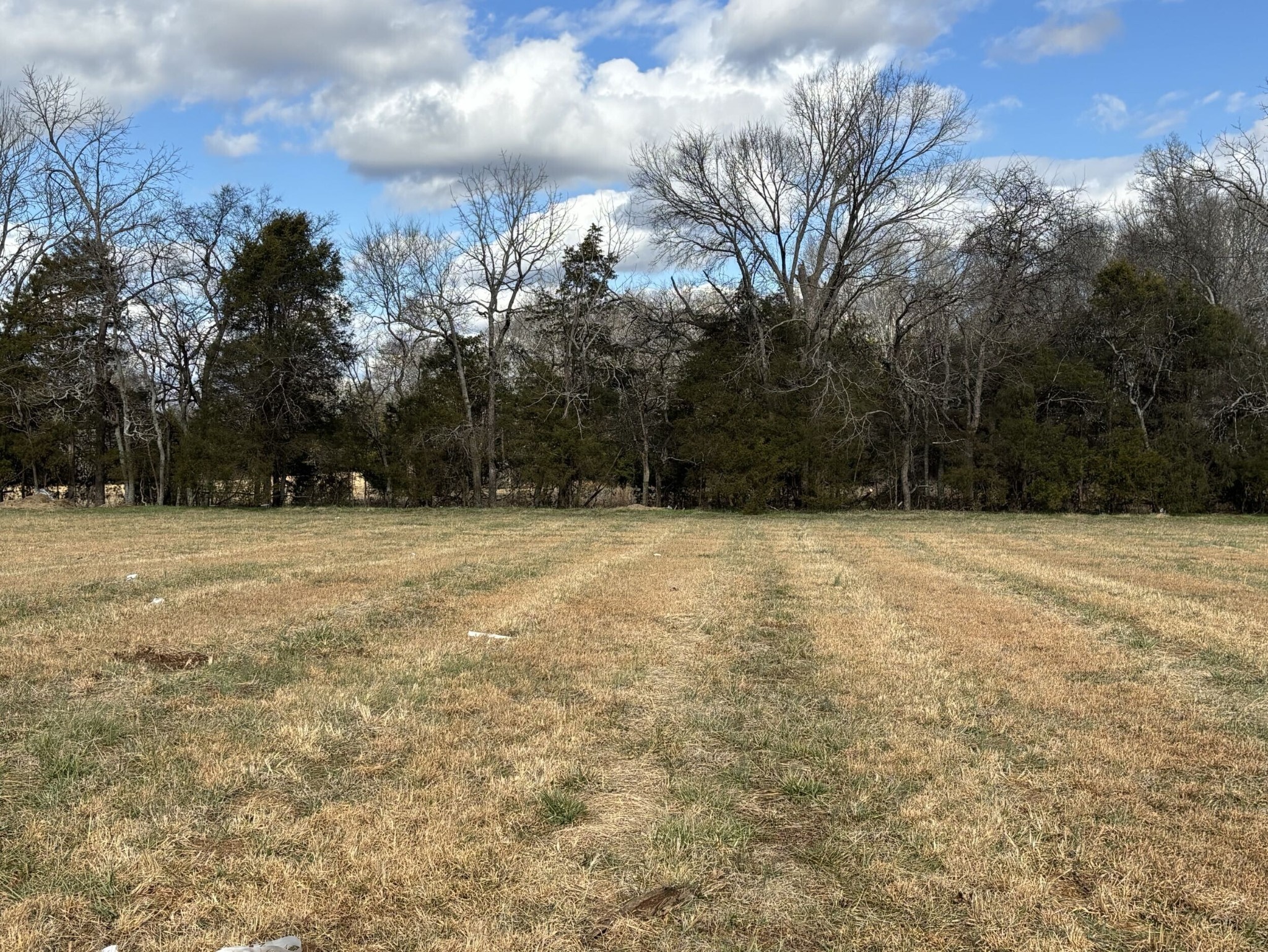 0 Unionville Deason Road Unionville, TN 37180 - Photo 4 of 5