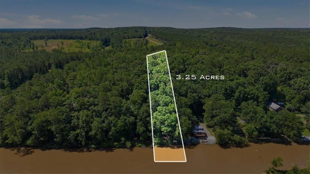 21 River Road Woodland, GA 31836 - Photo 55 of 63
