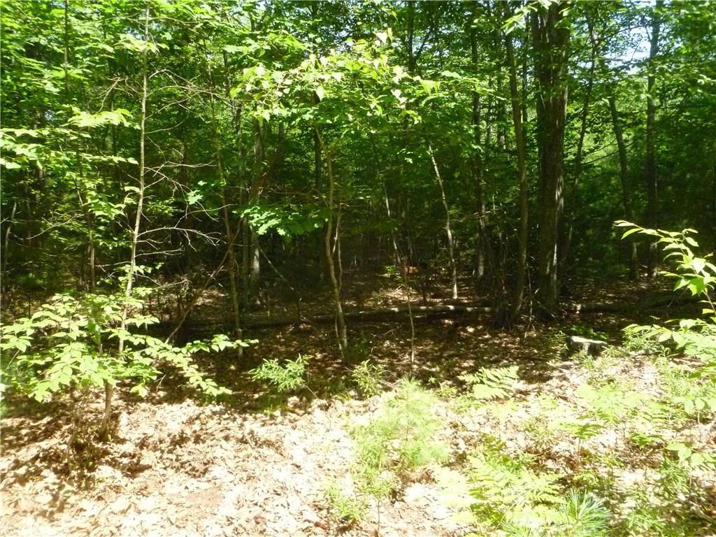 4 Ellis Lane York, ME 03902 - Photo 7 of 8 Building site where septic system...