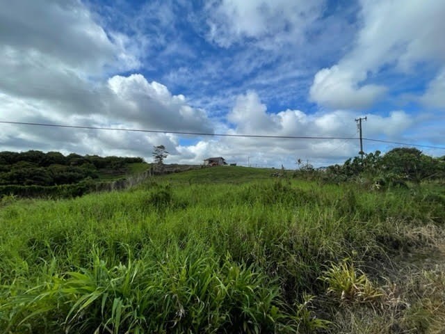 3 Huina Road Kurtistown, HI 96760 - Photo 4 of 7 a view of a yard