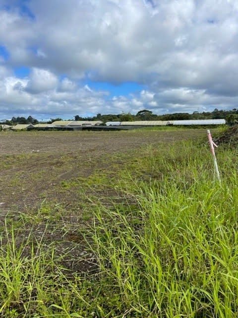 3 Huina Road Kurtistown, HI 96760 - Photo 6 of 7 a view of a lake view and mountain in back