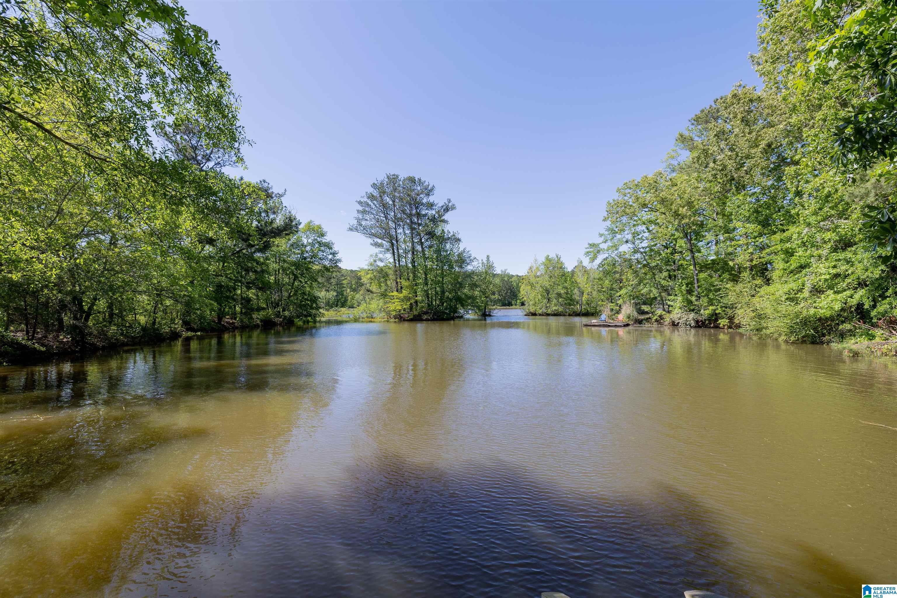 35 Stillwater Cove Riverside, AL 35135 - Photo 4 of 50