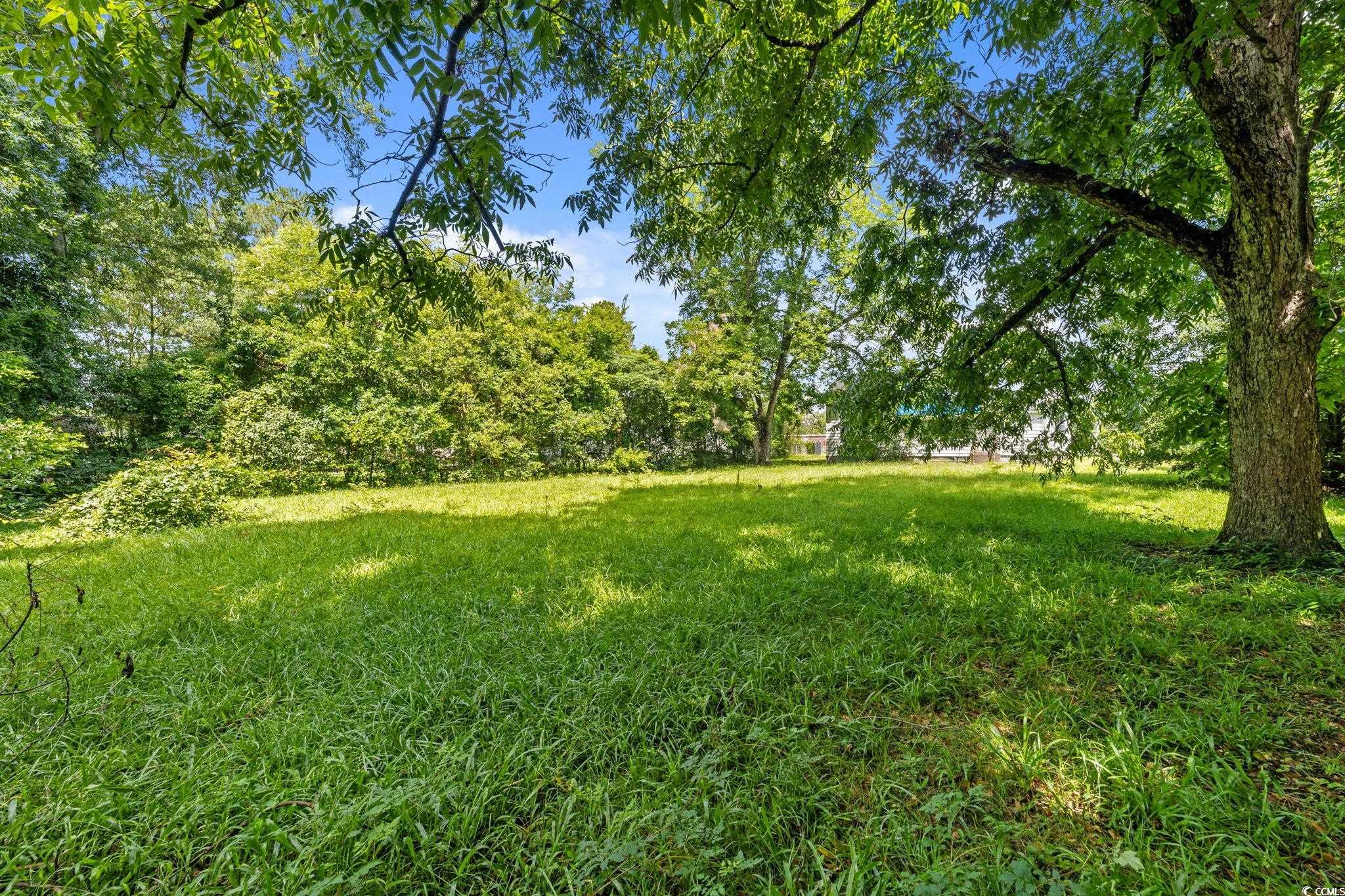 120 Academy Street Mullins, SC 29574 - Photo 9 of 40