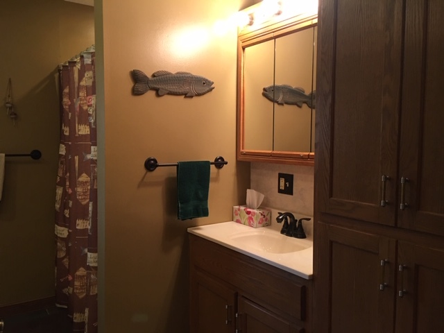 2575 North 2879th Road Marseilles, IL 61341 - Photo 16 of 35