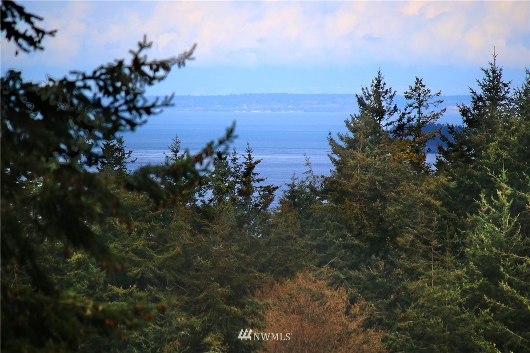 172 Harper Road Orcas Island, WA 98245 - Photo 3 of 25 Gallery Image 3