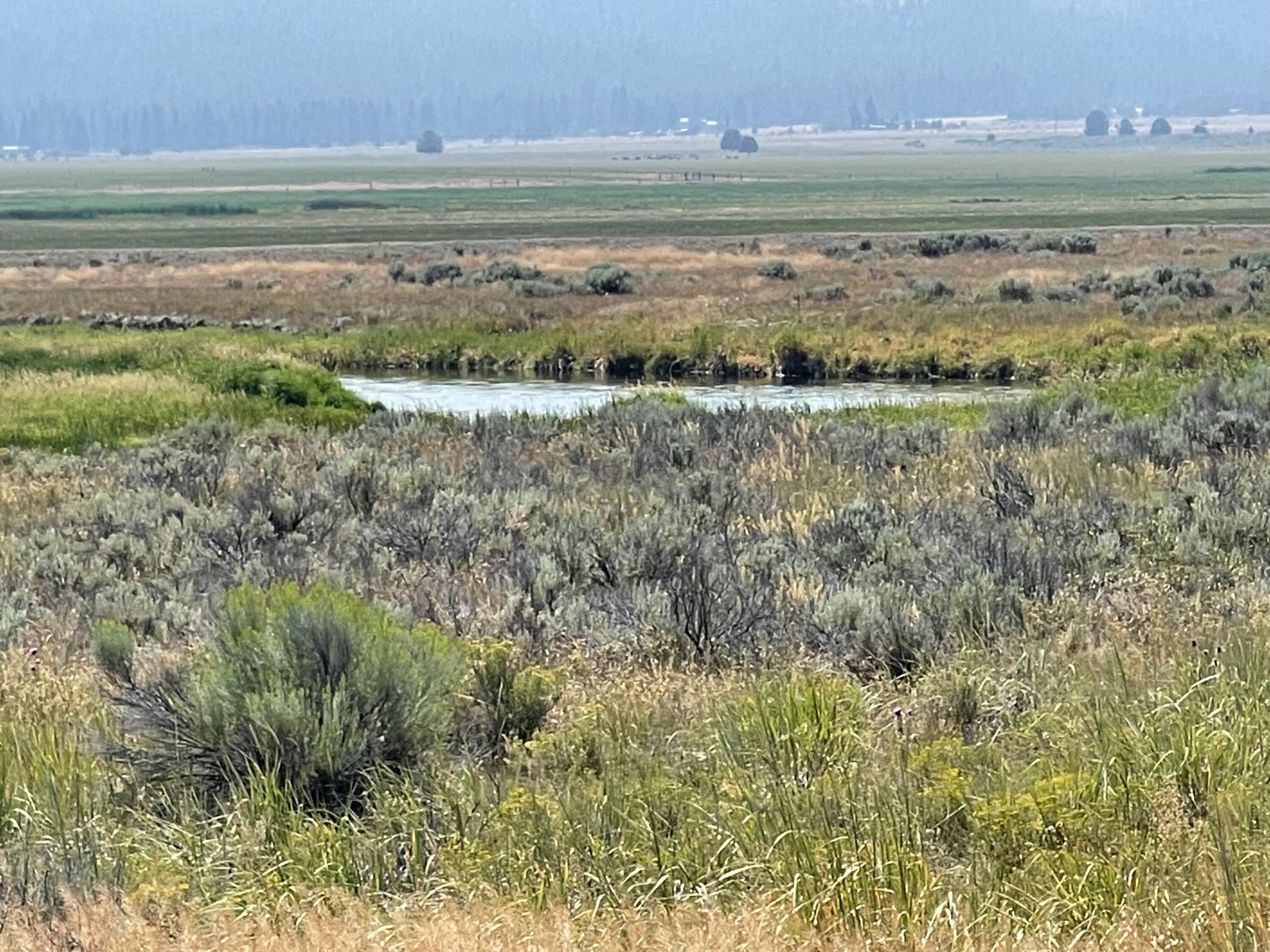 27 Drews Road, Unit 17 Chiloquin, OR 97624 - Photo 12 of 17 IMG_4496