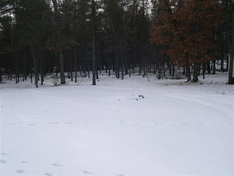 8945 North Forman Road Irons, MI 49644 - Photo 16 of 16 Additional Photo