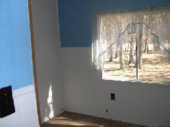 8945 North Forman Road Irons, MI 49644 - Photo 10 of 16 Additional Photo